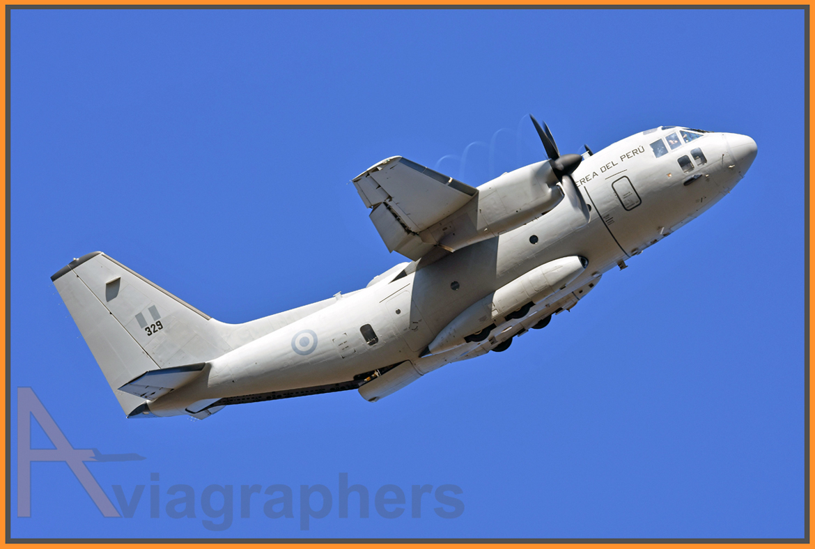 CHL Fidae18 16